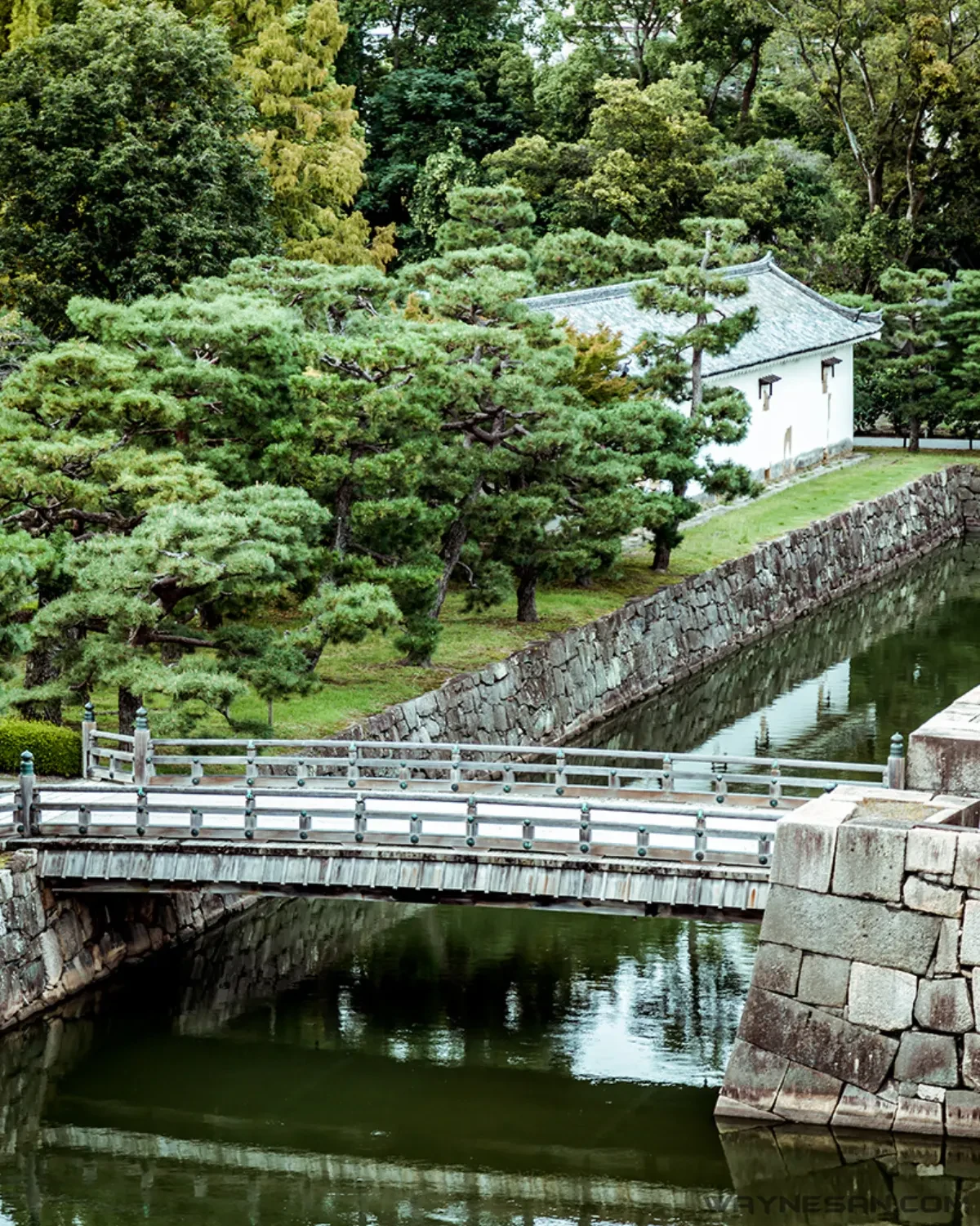 2025年 日本入国「Visit Japan Web＋共同セルフサービス通関ゲート